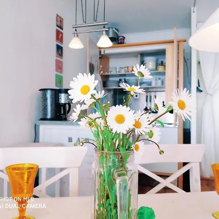 Zum Wohlfuhlen Fur 4 Erwachsene +1 Kind, Schwimmbad Vor Der Tur Tiere Erlaubt Apartament Sierksdorf