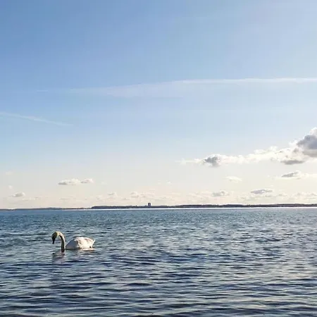 Zum Wohlfuhlen Fur 4 Erwachsene +1 Kind, Schwimmbad Vor Der Tur Tiere Erlaubt *