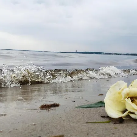 Zum Wohlfuhlen Fur 4 Erwachsene +1 Kind, Schwimmbad Vor Der Tur Tiere Erlaubt Apartament