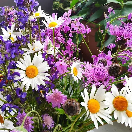 Apartament Zum Wohlfuhlen Fur 4 Erwachsene +1 Kind, Schwimmbad Vor Der Tur Tiere Erlaubt